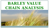 barley.pptx